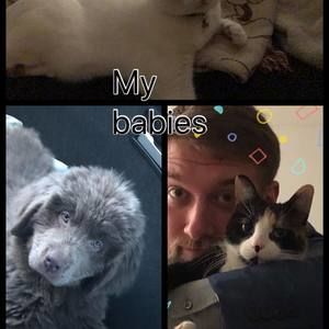 Meet your Posher, Linda